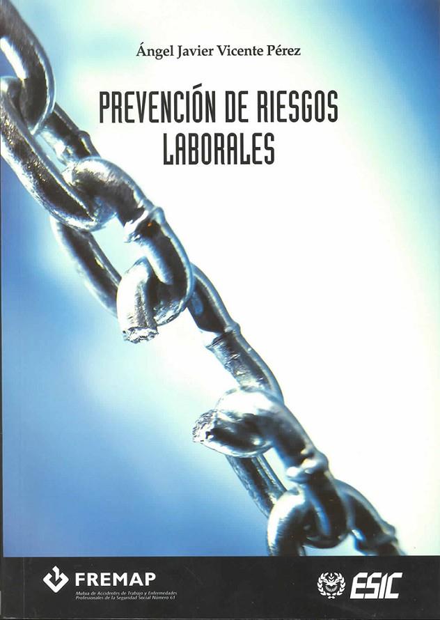 PREVENCION DE RIESGOS LABORALES | 9788473564212 | VICENTE PEREZ, ANGEL JAVIER | Galatea Llibres | Llibreria online de Reus, Tarragona | Comprar llibres en català i castellà online