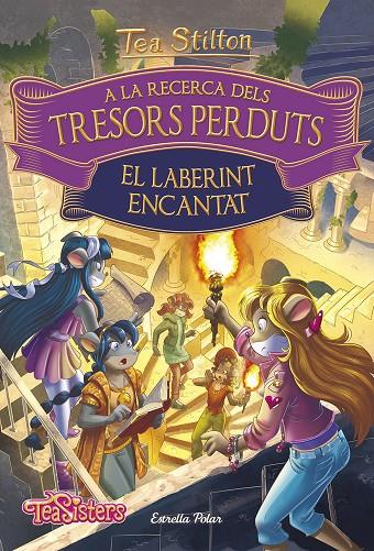 A LA RECERCA DELS TRESORS PERDUTS 3: EL LABERINT ENCANTAT | 9788491376316 | Galatea Llibres | Llibreria online de Reus, Tarragona | Comprar llibres en català i castellà online