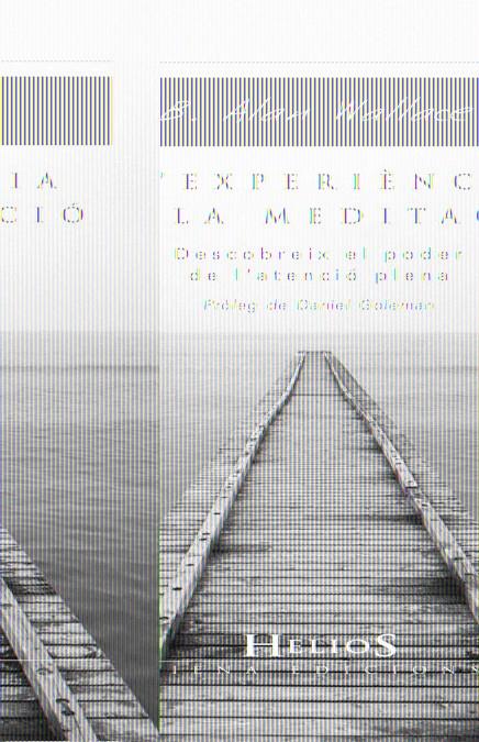 L'EXPERIÈNCIA DE LA MEDITACIÓ | 9788483304976 | WALLACER, ALAN | Galatea Llibres | Llibreria online de Reus, Tarragona | Comprar llibres en català i castellà online