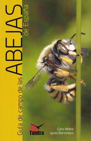 GUÍA DE CAMPO DE LAS ABEJAS DE ESPAÑA | 9788416702770 | AA.VV | Galatea Llibres | Llibreria online de Reus, Tarragona | Comprar llibres en català i castellà online