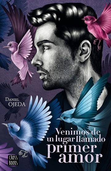 VENIMOS DE UN LUGAR LLAMADO PRIMER AMOR | 9788408224877 | OJEDA CHECA, DANIEL | Galatea Llibres | Llibreria online de Reus, Tarragona | Comprar llibres en català i castellà online