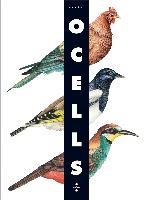 OCELLS | 9788466126243 | PITTAU, FRANCESCO | Galatea Llibres | Librería online de Reus, Tarragona | Comprar libros en catalán y castellano online