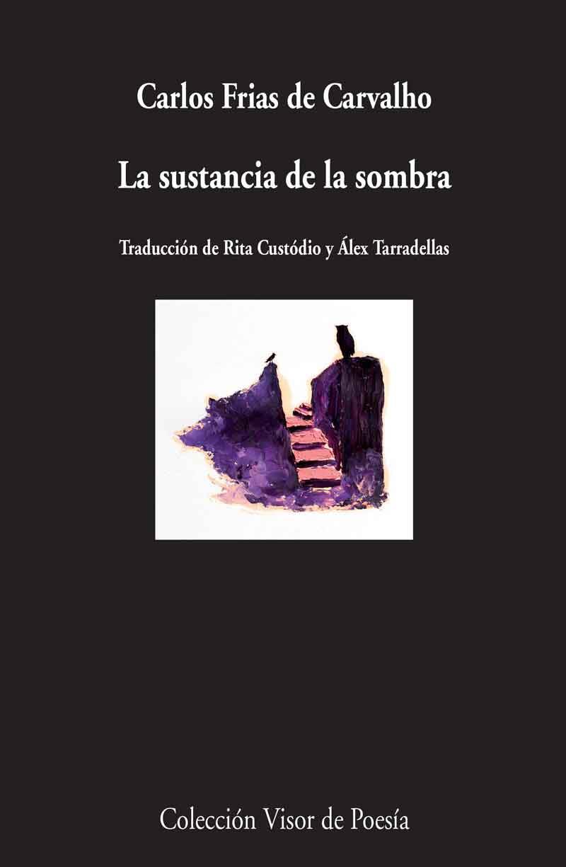 LA SUSTANCIA DE LA SOMBRA | 9788498958775 | FRIAS DE CARVALHO, CARLOS | Galatea Llibres | Librería online de Reus, Tarragona | Comprar libros en catalán y castellano online