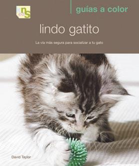 LINDO GATITO | 9788493662639 | TAYLOR, DAVID | Galatea Llibres | Librería online de Reus, Tarragona | Comprar libros en catalán y castellano online