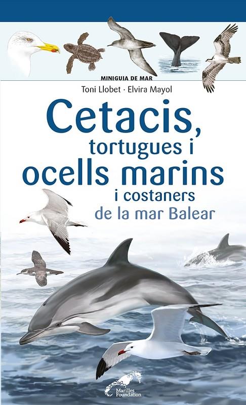 CETACIS, TORTUGUES I OCELLS MARINS I COSTANERS DE LA MAR BALEAR | 9788413562735 | MAYOL, ELVIRA | Galatea Llibres | Librería online de Reus, Tarragona | Comprar libros en catalán y castellano online
