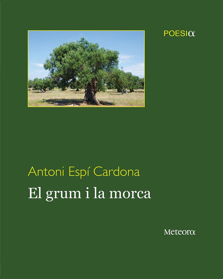 EL GRUM I LA MORCA | 9788492874910 | ESPÍ CARDONA, ANTONI | Galatea Llibres | Librería online de Reus, Tarragona | Comprar libros en catalán y castellano online