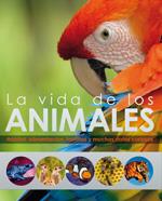 VIDA DE LOS ANIMALES | 9788428536691 | Galatea Llibres | Llibreria online de Reus, Tarragona | Comprar llibres en català i castellà online