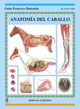 ANATOMÍA DEL CABALLO | 9788425515736 | COLLES, CHRIS | Galatea Llibres | Librería online de Reus, Tarragona | Comprar libros en catalán y castellano online