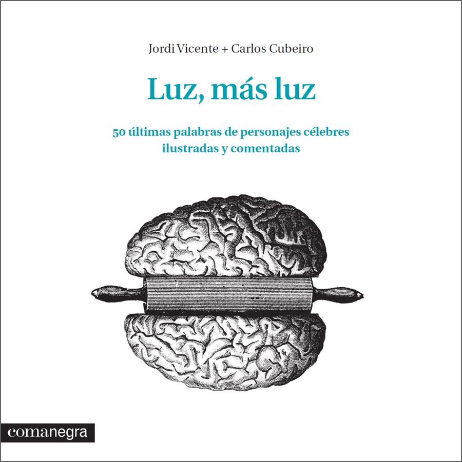 LUZ, MÁS LUZ | 9788416033348 | VICENTE RÓDENAS, JORDI/DÍAZ CUBEIRO, CARLOS | Galatea Llibres | Llibreria online de Reus, Tarragona | Comprar llibres en català i castellà online