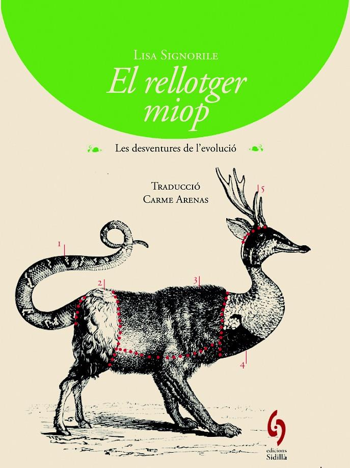 EL RELLOTGER MIOP | 9788494256424 | SIGNORILE, LISA | Galatea Llibres | Librería online de Reus, Tarragona | Comprar libros en catalán y castellano online