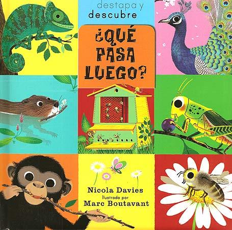 QUE PASSARA? | 9788426139979 | DAVIES, NICOLA | Galatea Llibres | Llibreria online de Reus, Tarragona | Comprar llibres en català i castellà online