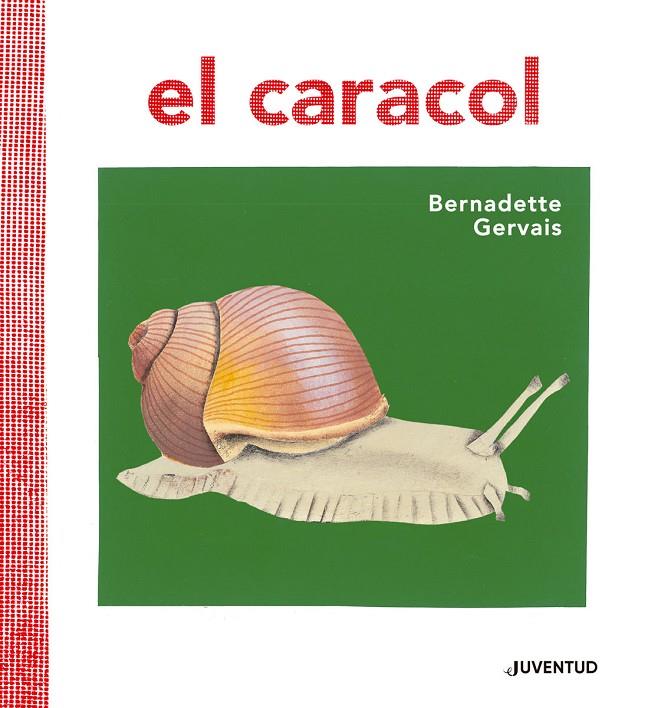 EL CARACOL | 9788426145673 | GERVAIS, BERNADETTE | Galatea Llibres | Llibreria online de Reus, Tarragona | Comprar llibres en català i castellà online