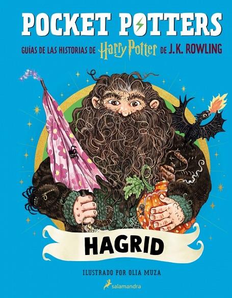 POCKET POTTERS - HAGRID | 9788419868862 | ROWLING, J.K. | Galatea Llibres | Llibreria online de Reus, Tarragona | Comprar llibres en català i castellà online