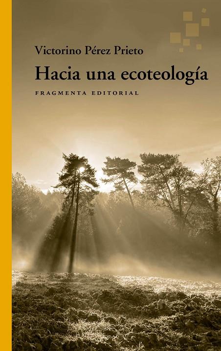 HACIA UNA ECOTEOLOGÍA | 9788417796815 | PÉREZ PRIETO, VICTORINO | Galatea Llibres | Llibreria online de Reus, Tarragona | Comprar llibres en català i castellà online