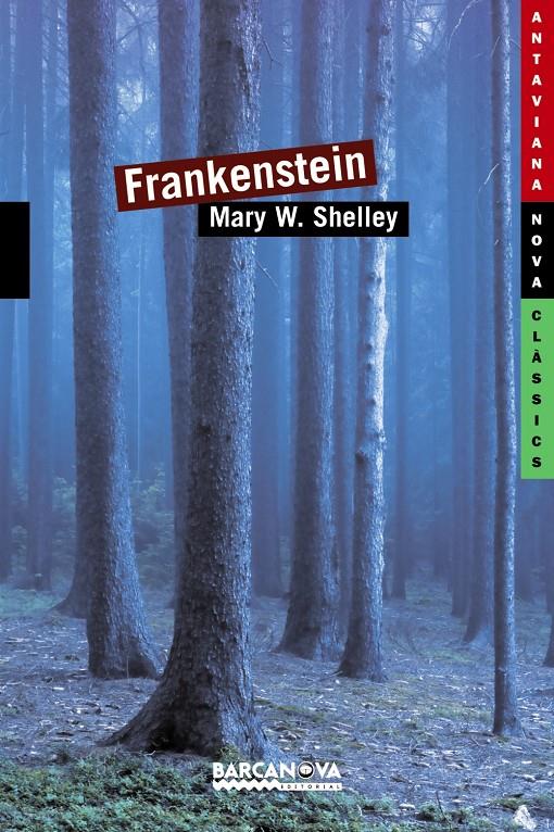 FRANKENSTEIN | 9788448930387 | SHELLEY, MARY | Galatea Llibres | Llibreria online de Reus, Tarragona | Comprar llibres en català i castellà online