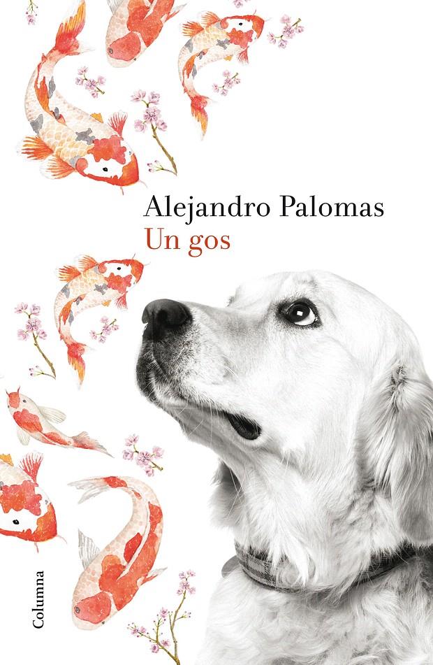 UN GOS | 9788466420426 | PALOMAS, ALEJANDRO | Galatea Llibres | Librería online de Reus, Tarragona | Comprar libros en catalán y castellano online