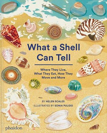 WHAT A SHELL CAN TELL | 9781838664305 | PULIDO, SONIA / SCALES, HELEN | Galatea Llibres | Llibreria online de Reus, Tarragona | Comprar llibres en català i castellà online