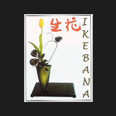 IKEBANA | 9788495275608 | AAVV | Galatea Llibres | Librería online de Reus, Tarragona | Comprar libros en catalán y castellano online
