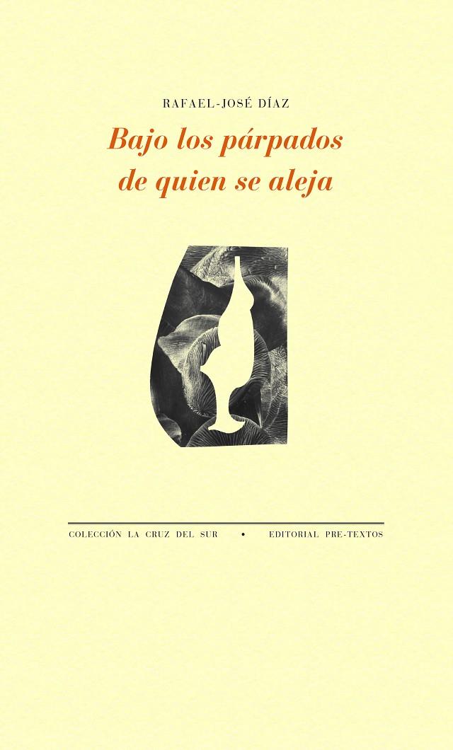 BAJO LOS PÁRPADOS DE QUIEN SE ALEJA | 9788418178672 | DÍAZ, RAFAEL-JOSÉ | Galatea Llibres | Librería online de Reus, Tarragona | Comprar libros en catalán y castellano online