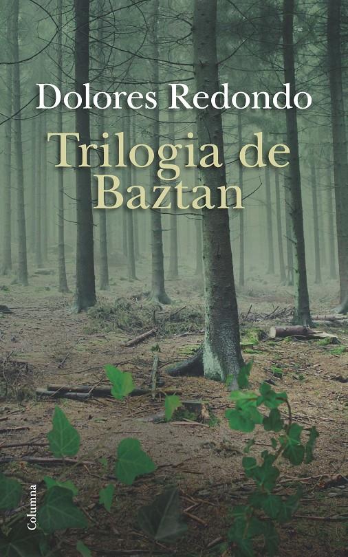 ESTOIG TRILOGIA DE BAZTAN | 9788466419147 | REDONDO, DOLORES | Galatea Llibres | Llibreria online de Reus, Tarragona | Comprar llibres en català i castellà online