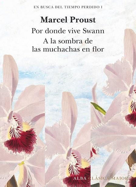 EN BUSCA DEL TIEMPO PERDIDO, VOL. 1 | 9788490659229 | PROUST, MARCEL | Galatea Llibres | Librería online de Reus, Tarragona | Comprar libros en catalán y castellano online