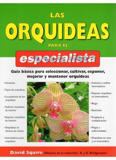 ORQUIDEAS PARA EL ESPECIALISTA, LAS | 9788428214193 | SQUIRE, DAVID | Galatea Llibres | Librería online de Reus, Tarragona | Comprar libros en catalán y castellano online