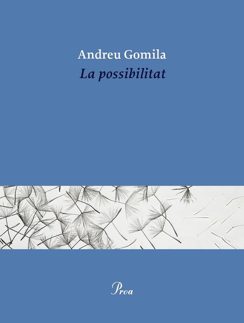 LA POSSIBILITAT | 9791388369155 | GOMILA LLOBERA, ANDREU | Galatea Llibres | Librería online de Reus, Tarragona | Comprar libros en catalán y castellano online