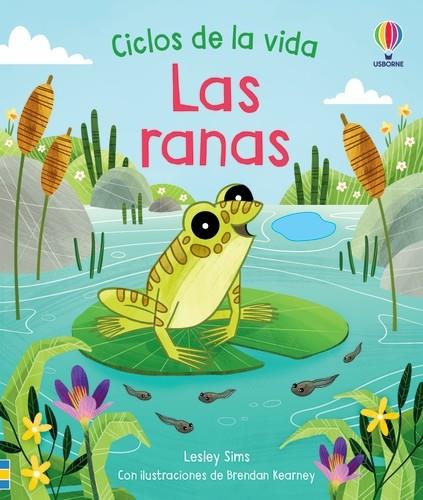 LAS RANAS. CICLOS DE LA VIDA | 9781801317887 | SIMS, LESLEY | Galatea Llibres | Librería online de Reus, Tarragona | Comprar libros en catalán y castellano online