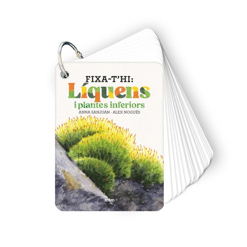 FIXA-T'HI: LÍQUENS I PLANTES INFERIORS | 9788410407626 | SANJUAN LLORENS, ANNA/NOGUÉS OTERO, ALEX | Galatea Llibres | Librería online de Reus, Tarragona | Comprar libros en catalán y castellano online