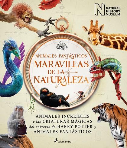 ANIMALES FANTÁSTICOS: MARAVILLAS DE LA NATURALEZA | 9788418637056 | THE NATIONAL HISTORY MUSEUM, | Galatea Llibres | Librería online de Reus, Tarragona | Comprar libros en catalán y castellano online