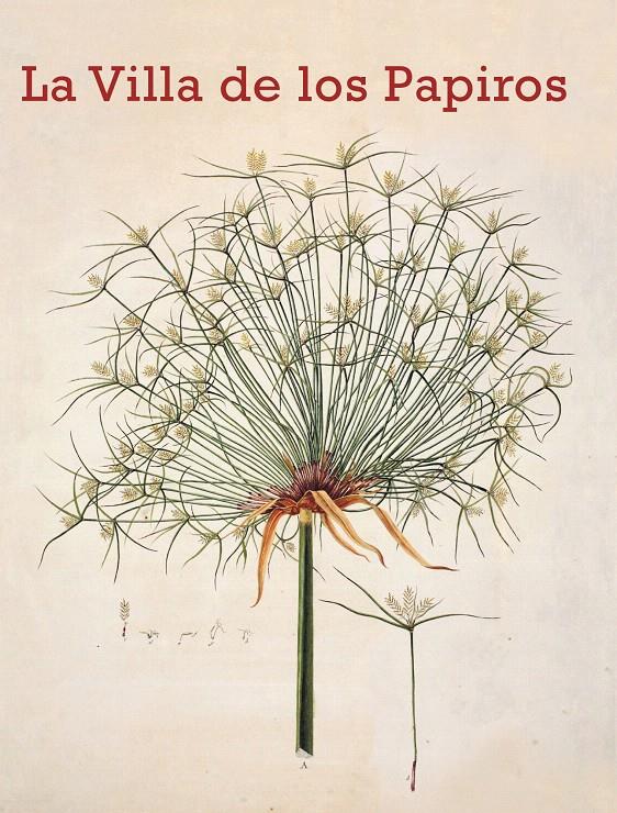 LA VILLA DE LOS PAPIROS | 9788415888260 | AA. VV. | Galatea Llibres | Librería online de Reus, Tarragona | Comprar libros en catalán y castellano online