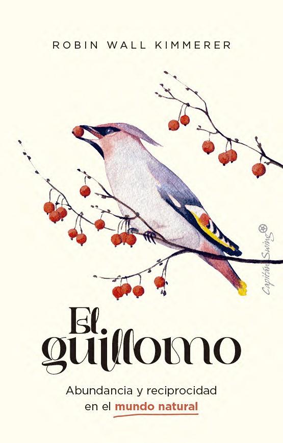 EL GUILLOMO | 9791399105995 | WALL KIMMERER, ROBIN | Galatea Llibres | Llibreria online de Reus, Tarragona | Comprar llibres en català i castellà online