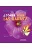 DONDE VIVEN LAS HADAS? | 9788466717311 | VALIOS BUÑUEL, IGNASI | Galatea Llibres | Librería online de Reus, Tarragona | Comprar libros en catalán y castellano online