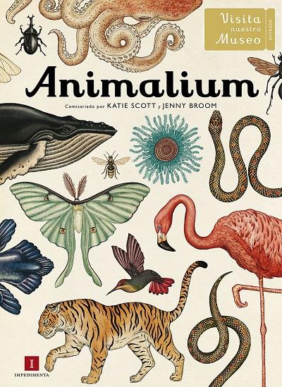 ANIMALIUM | 9788415979463 | KATIE SCOTT - JENNY BROOM | Galatea Llibres | Librería online de Reus, Tarragona | Comprar libros en catalán y castellano online