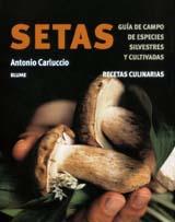 SETAS | 9788480765251 | CARLUCCIO, ANTONIO | Galatea Llibres | Librería online de Reus, Tarragona | Comprar libros en catalán y castellano online