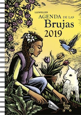 AGENDA 2019 DE LAS BRUJAS | 9788491113652 | LLEWELLYN | Galatea Llibres | Librería online de Reus, Tarragona | Comprar libros en catalán y castellano online