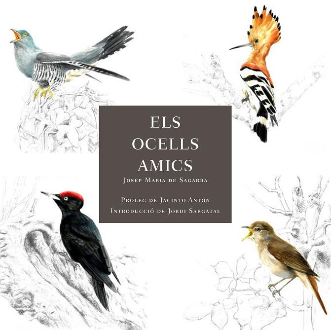 ELS OCELLS AMICS | 9788412949025 | DE SAGARRA, JOSEP MARIA | Galatea Llibres | Llibreria online de Reus, Tarragona | Comprar llibres en català i castellà online