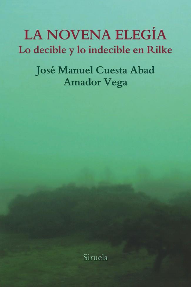 LA NOVENA ELEGíA | 9788417151997 | VEGA, AMADOR/CUESTA ABAD, JOSé MANUEL | Galatea Llibres | Librería online de Reus, Tarragona | Comprar libros en catalán y castellano online
