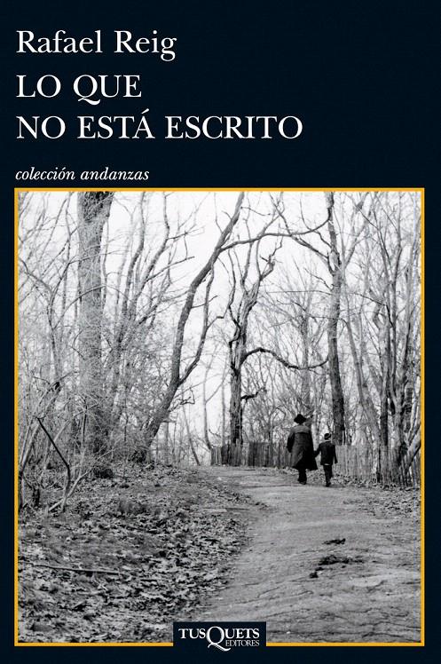 LO QUE NO ESTÁ ESCRITO | 9788483834282 | REIG CARRIEDO, RAFAEL | Galatea Llibres | Librería online de Reus, Tarragona | Comprar libros en catalán y castellano online