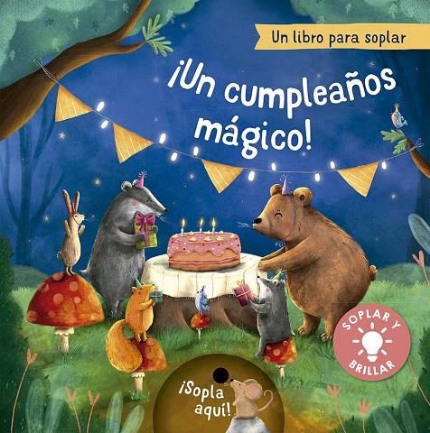 ¡UN CUMPLEAÑOS MÁGICO! | 9788491459088 | HÖCK, MARIA | Galatea Llibres | Llibreria online de Reus, Tarragona | Comprar llibres en català i castellà online