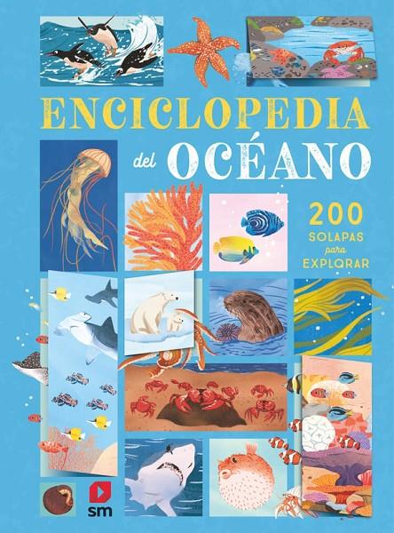 ENCICLOPEDIA DEL OCÉANO | 9788410553903 | DE LA BEDOYERE, CAMILLA | Galatea Llibres | Llibreria online de Reus, Tarragona | Comprar llibres en català i castellà online