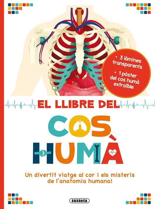 EL LLIBRE DEL COS HUMÀ | 9788467752953 | BROUGÈRE, MAUD | Galatea Llibres | Librería online de Reus, Tarragona | Comprar libros en catalán y castellano online