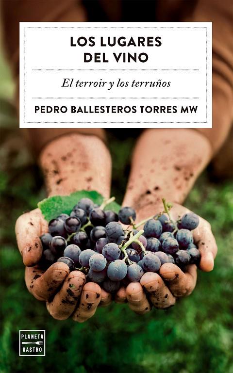 LOS LUGARES DEL VINO | 9788408323051 | BALLESTEROS TORRES, PEDRO | Galatea Llibres | Llibreria online de Reus, Tarragona | Comprar llibres en català i castellà online