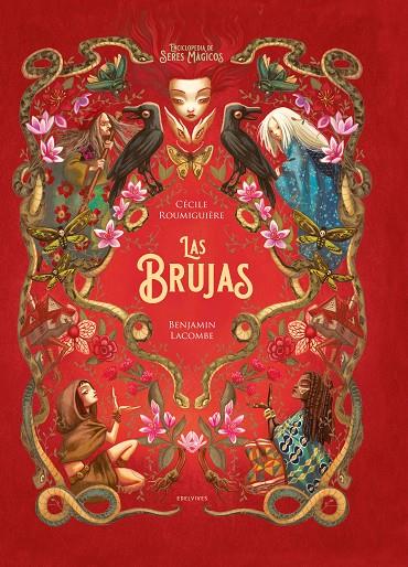 LAS BRUJAS | 9788414041697 | ROUMIGUIÈRE, CÈCILE | Galatea Llibres | Librería online de Reus, Tarragona | Comprar libros en catalán y castellano online