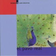 PAVO REAL | 9788424617332 | DURAN, TERESA | Galatea Llibres | Llibreria online de Reus, Tarragona | Comprar llibres en català i castellà online