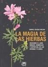 MAGIA DE LAS HIERBAS, LA | 9788471484116 | VÁZQUEZ MOLINA, GABRIEL | Galatea Llibres | Llibreria online de Reus, Tarragona | Comprar llibres en català i castellà online