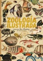 ZOOLOGÍA ILUSTRADA | 9788494896491 | SORIA, CARMEN | Galatea Llibres | Llibreria online de Reus, Tarragona | Comprar llibres en català i castellà online
