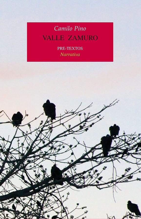VALLE ZAMURO | 9788415297086 | PINO LA CORTE, CAMILO | Galatea Llibres | Librería online de Reus, Tarragona | Comprar libros en catalán y castellano online