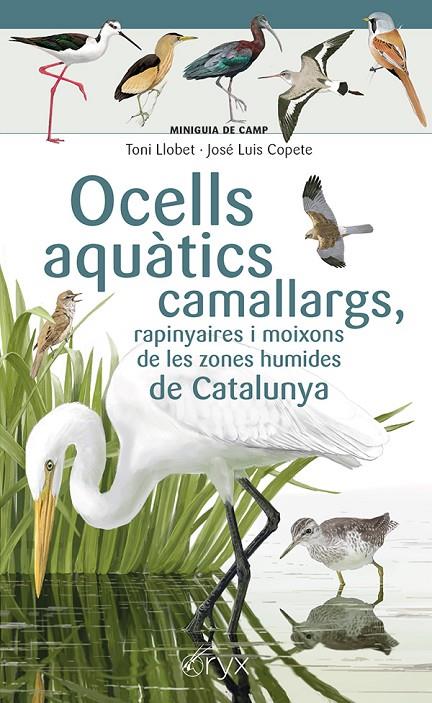 OCELLS AQUÀTICS CAMALLARGS, RAPINYAIRES I MOIXONS DE LES ZONES HUMIDES DE CATALUNYA | 9788413564746 | COPETE, JOSÉ LUIS | Galatea Llibres | Llibreria online de Reus, Tarragona | Comprar llibres en català i castellà online