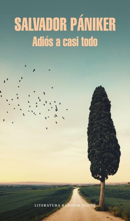 ADIÓS A CASI TODO (DIARIOS DE PÁNIKER 5) | 9788439732693 | PANIKER, SALVADOR | Galatea Llibres | Llibreria online de Reus, Tarragona | Comprar llibres en català i castellà online